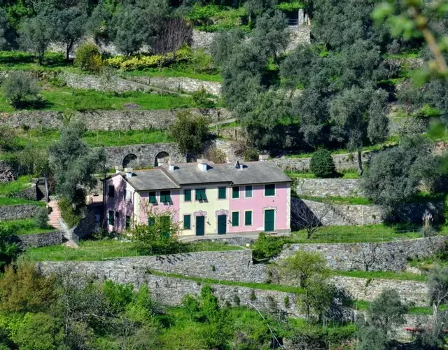 Villa Olivari - apt il Cedro