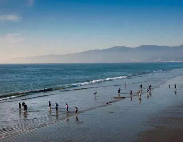 Beachside Luxury Apartment I Free Parking