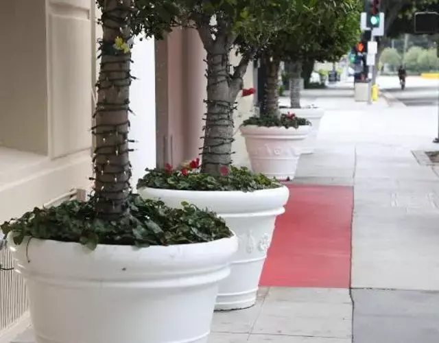 Hotel Carmel Santa Monica