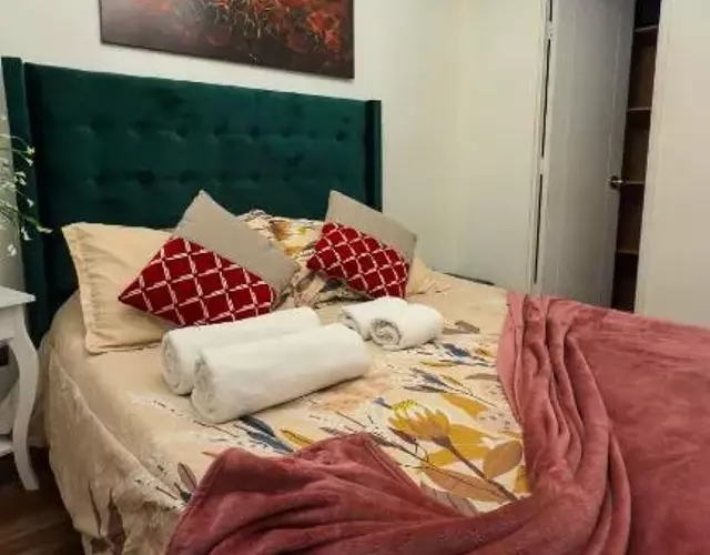 Santiago Centro 2 dormitorios check in tardío