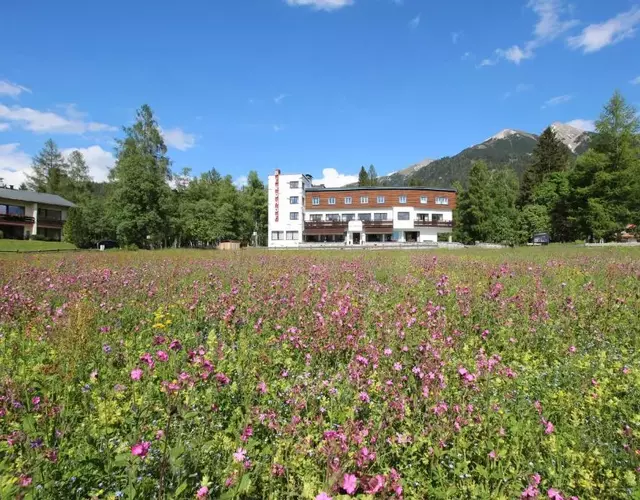 Hotel Berghof