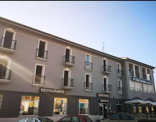 Hotel Avenida del Sotillo