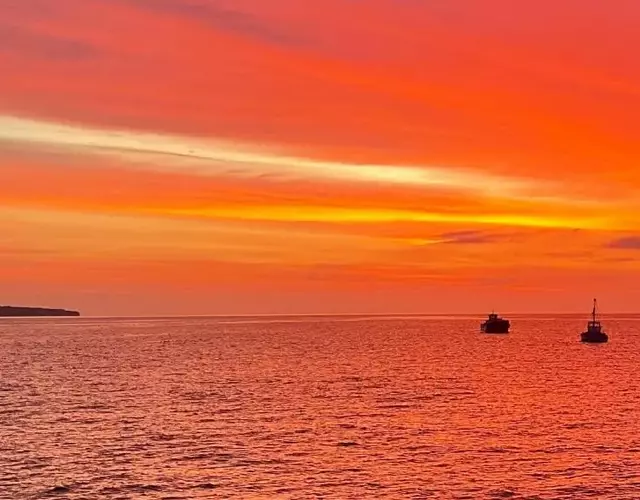 Izu Shirada Villa 伊豆白田家