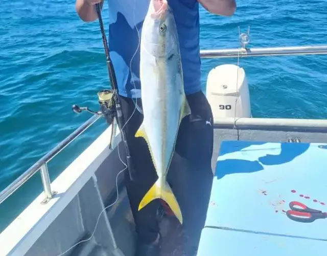 Cape Marine Adventures