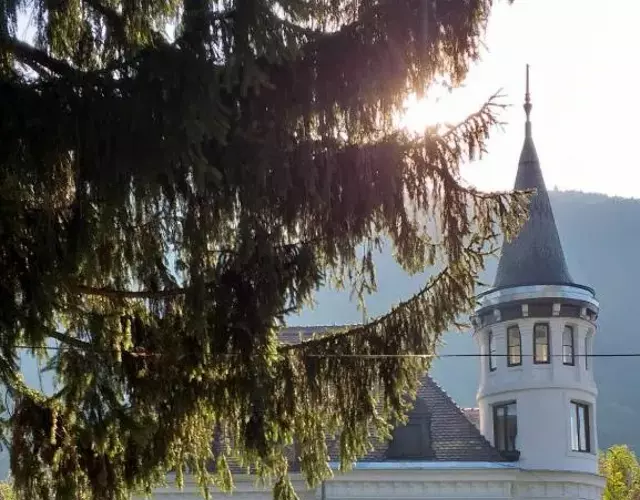 Vila Micul Castel