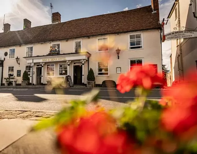 The Dog & Bear Hotel