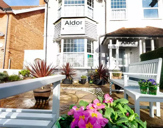 The Aldor