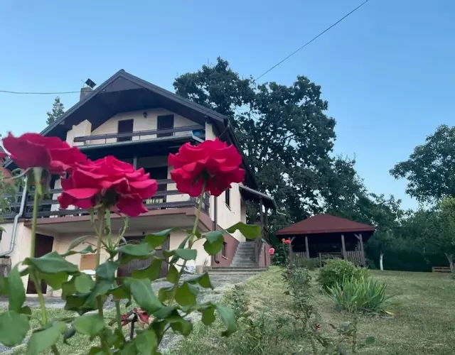 Vila Plavinac
