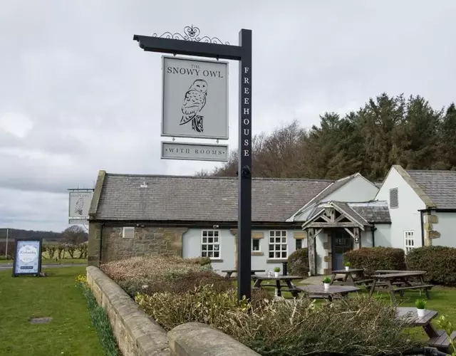 The Snowy Owl by Innkeeper's Collection