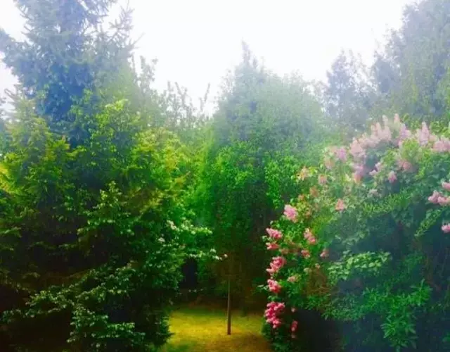 Lea River Rooms females only or couples only