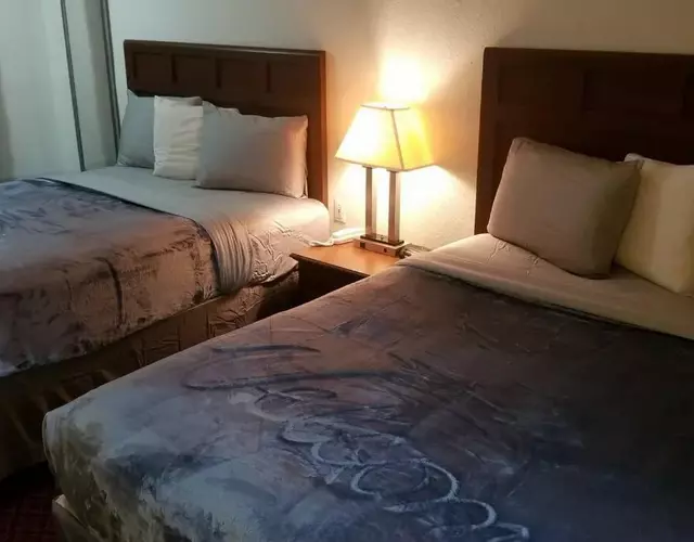 Hotel 2 Queen Beds Hotel Room 128 Booking