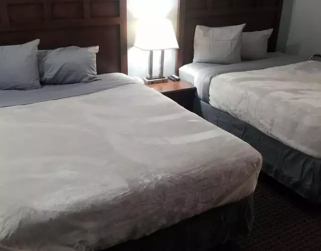 Hotel 2 Queen Beds Hotel Room 220 Booking