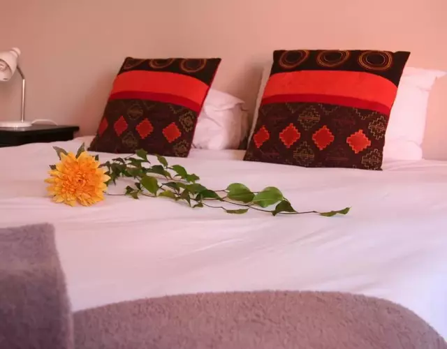 Dunedin Star Guesthouse