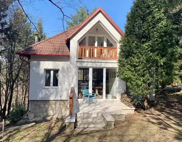 Ház a Pilisben - mókus család a kertben