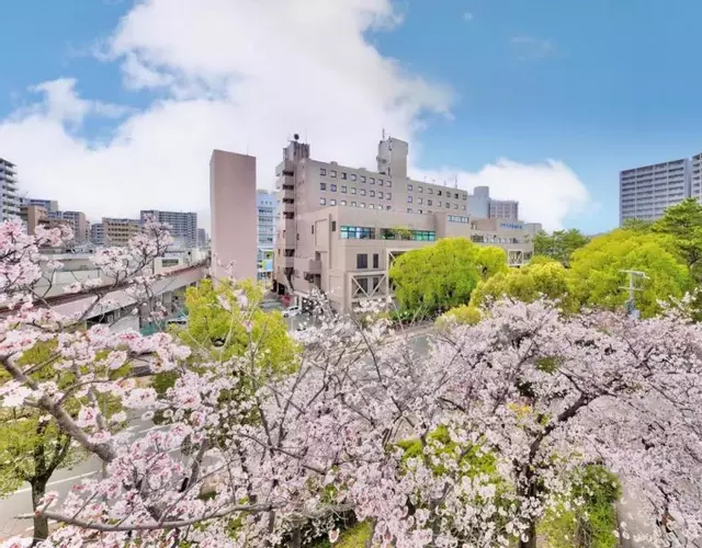 Minamisenri Crystal Hotel