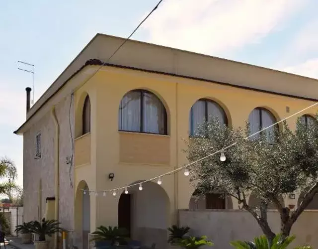 Le Mimose
