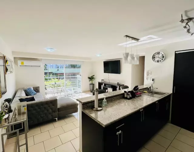 Modern Condo in Ecovivienda