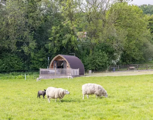 Ashberry Glamping Pod