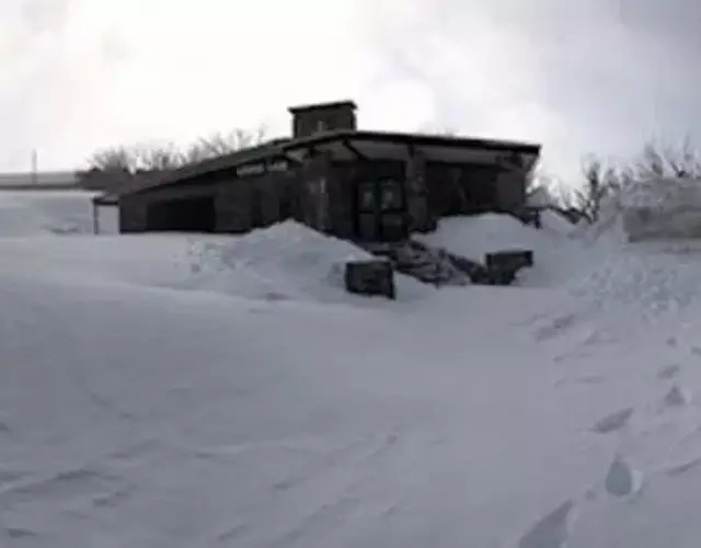 The Lions Lair Lodge