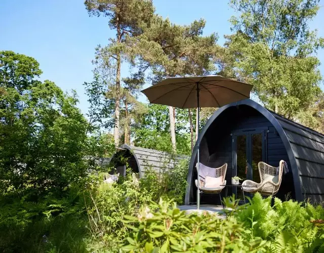 KampinaStaete, hippe cottages midden in natuurgebied de Kampina Oisterwijk
