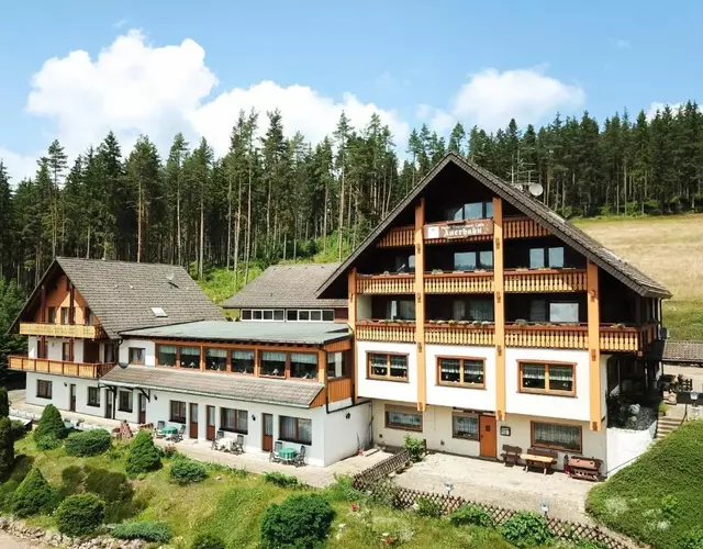 Auerhahn Bed and Breakfast - Black Forest - Waldhotel