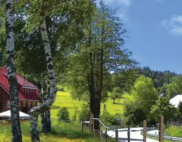 Landgasthaus Backhof-Helmle