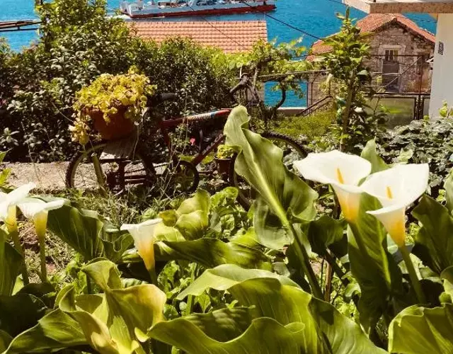 Apartments Vučinović