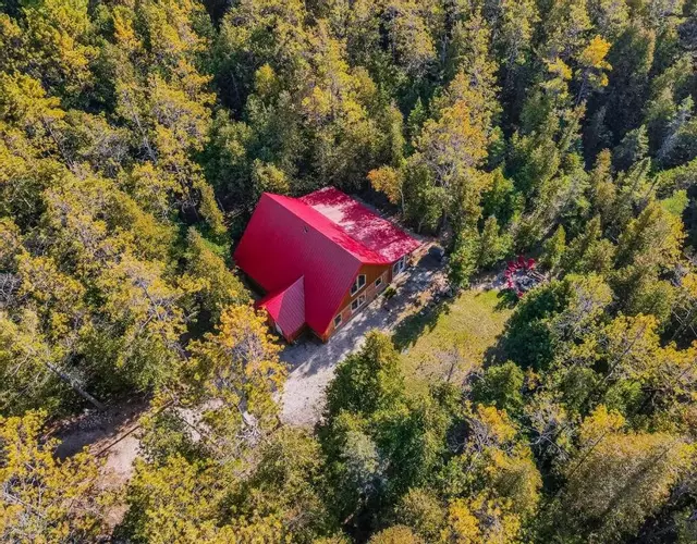 Forest Cabin By National Park & Tobermory