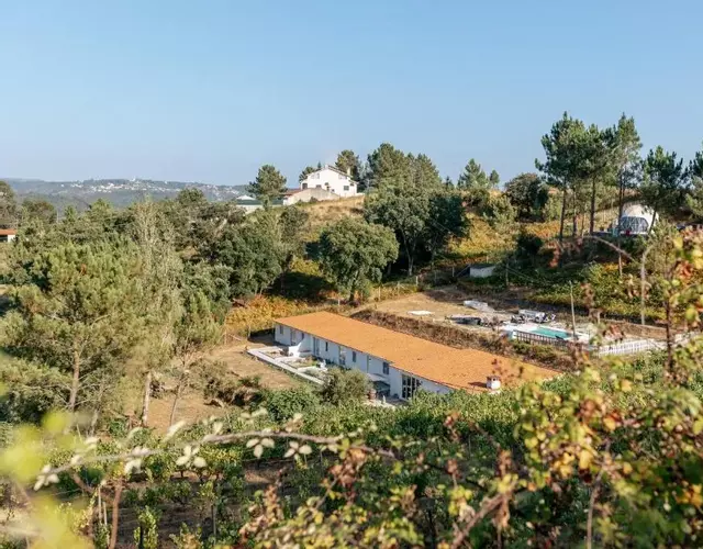 Alma-Rio Room 2 by Mycelia