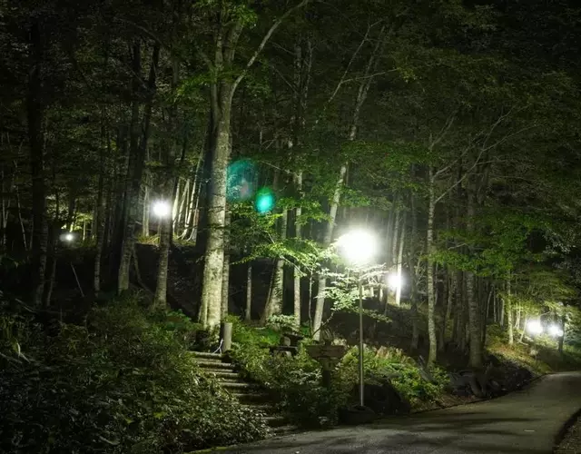 Hatto Furusato no Mori - Vacation STAY 21067v