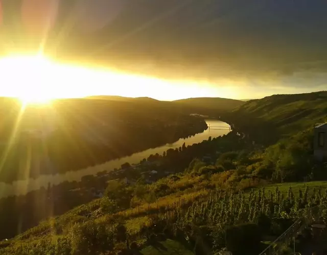 Apartment an der Mosel 2