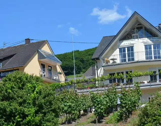 Weingut Sauer-Kettermann