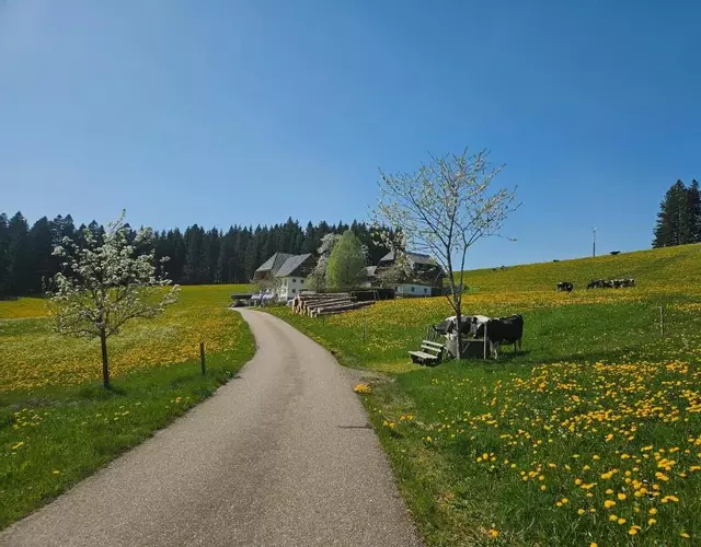 Lorenzenhäusle Titisee-Neustadt
