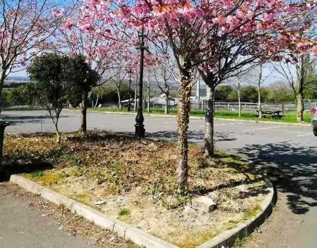 Tara View Apartments