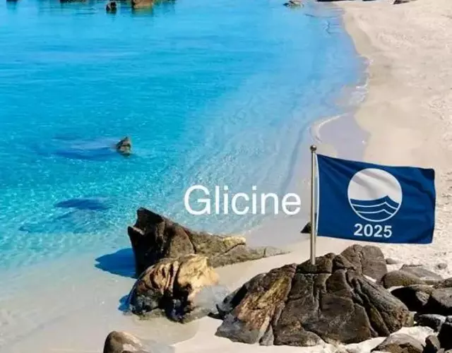Glicine