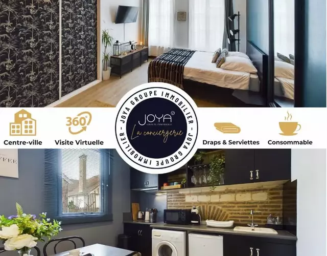 Studio Deschainets Troyes Gare et Centre Historique