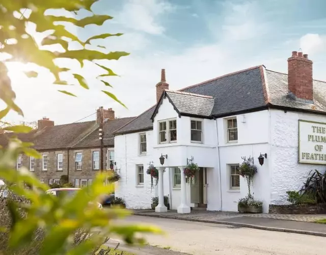 The Plume of Feathers