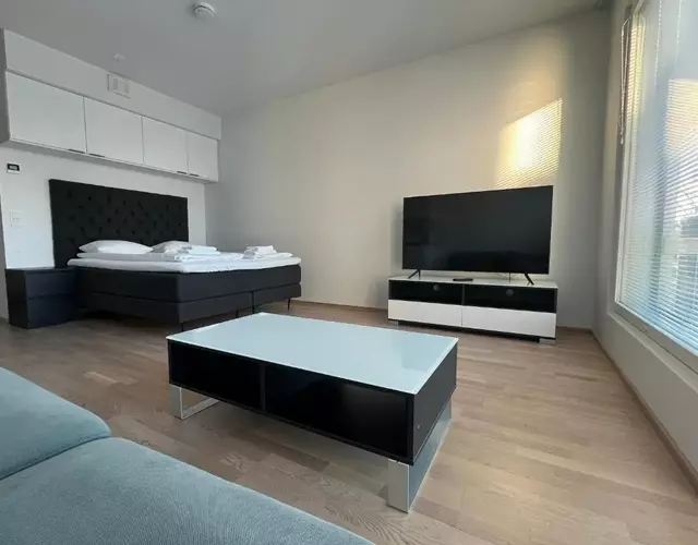 Simple studio for two in Turku Center