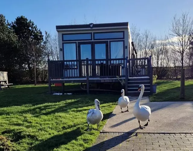 Lake District Willerby Vogue Lodge, Lake View on Haven Lakeland Gold Grade