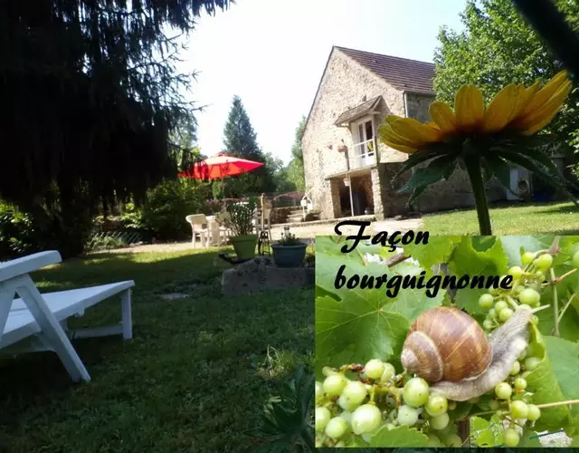 Gite "La Méluzine" au bord de la rivière, Avallon, Vézelay, Morvan