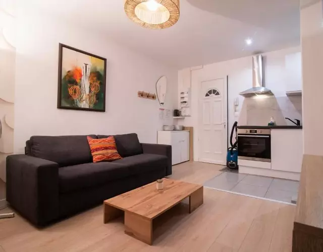 Spacieux et douillet T2 au centre