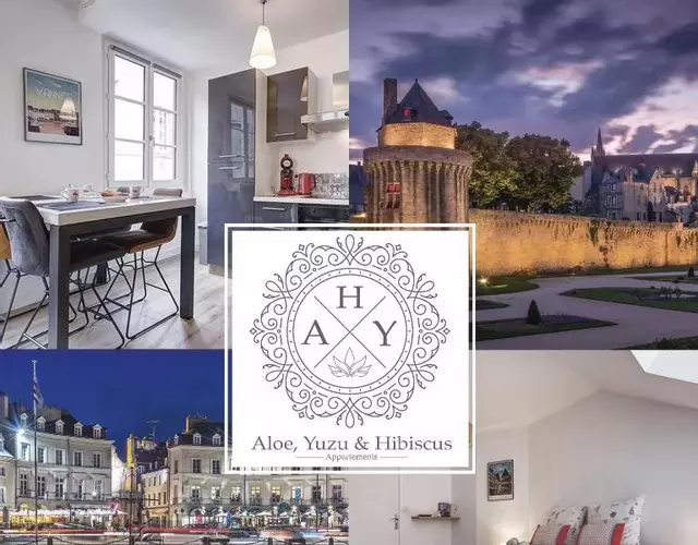 Appartements de caractère centre