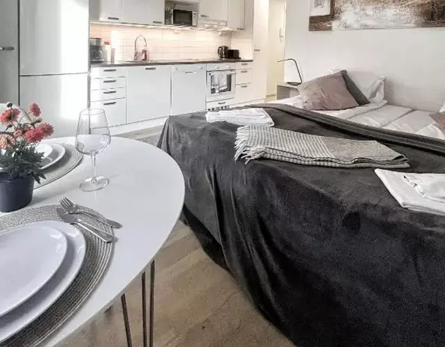 Cozy Studio - Heart of Tikkurila