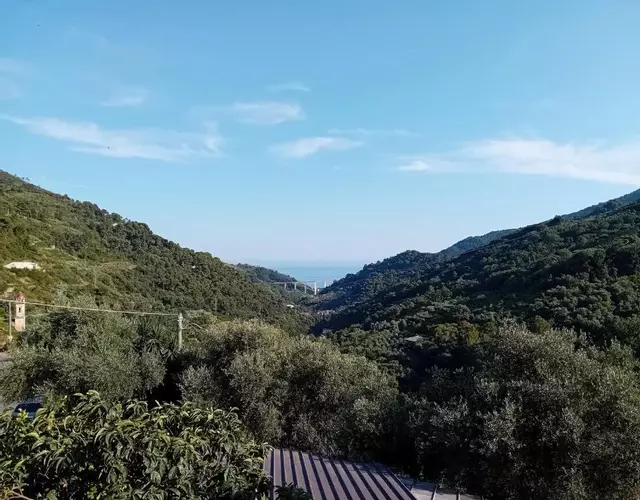 La casetta dei 4 gatti