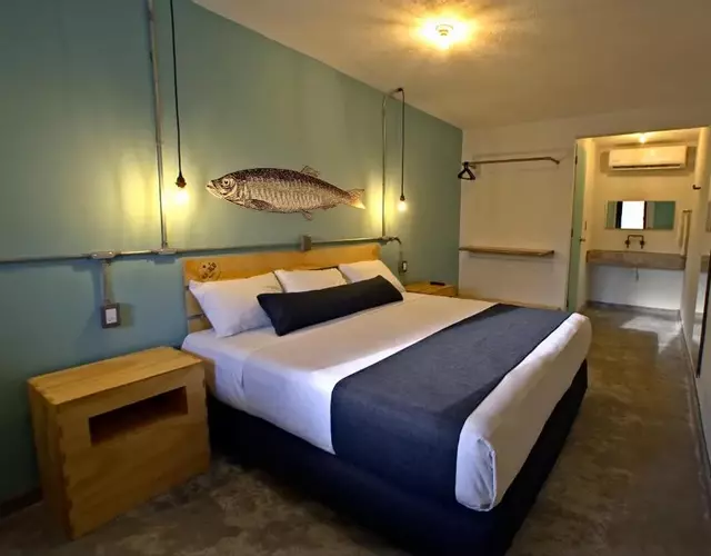 Mas Basico Hotel
