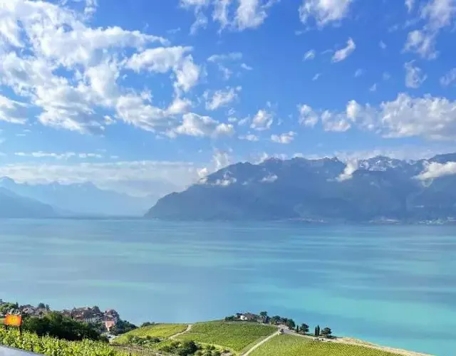 Baron Tavernier Hotel Restaurant & SPA