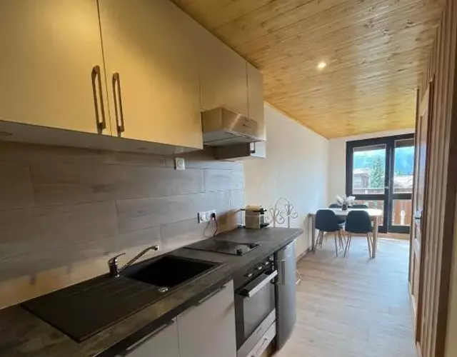 Appartement centre des Carroz