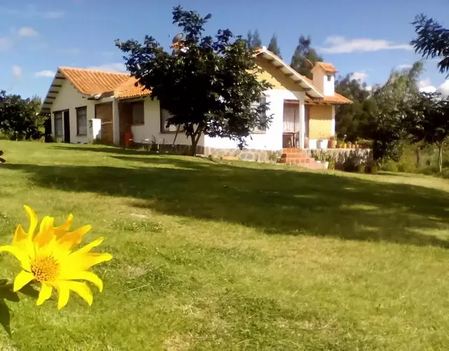 Hospedaje y Zona de Camping Pistacho