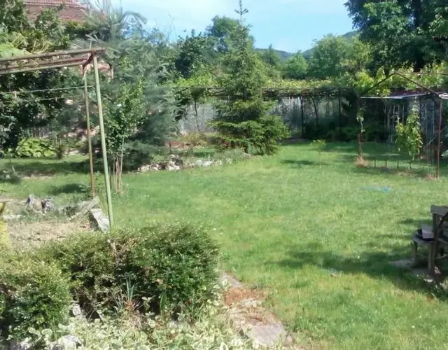 Vila Dedo Liben