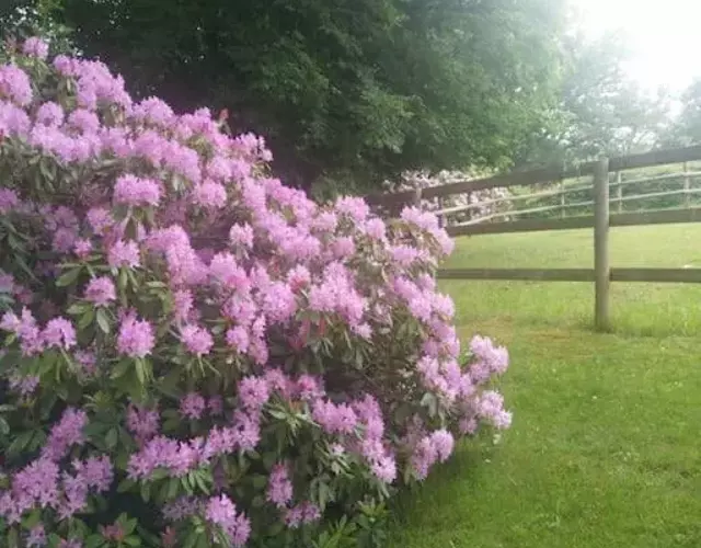 Etzauer Mühle-Mensch-Zeit-Pferd, Weilrod